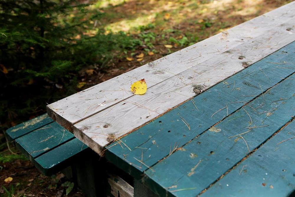 Why is Routine Maintenance Important for Wood Picnic Tables?